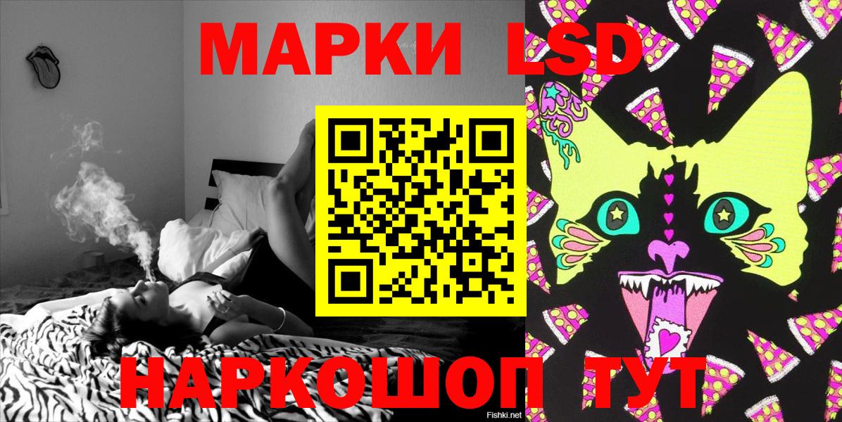Бийск  как найти закладки  Наркотические марки  Вход с VPN  Марки 25I-NBOMe 1500мкг 