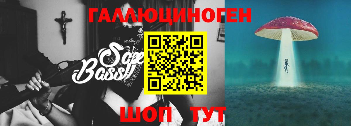 Псилоцибиновые грибы Psilocybine cubensis Бийск